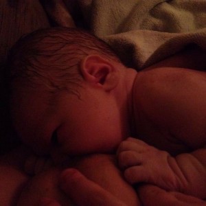 Newborn with skin to skin.  Copyright Michelle Bromley, Snowdrop Doula