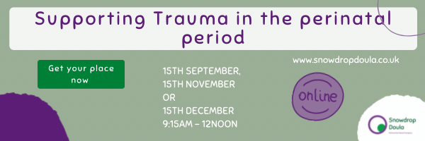 Birth trauma training. Trauma informed training for anyone working with families.