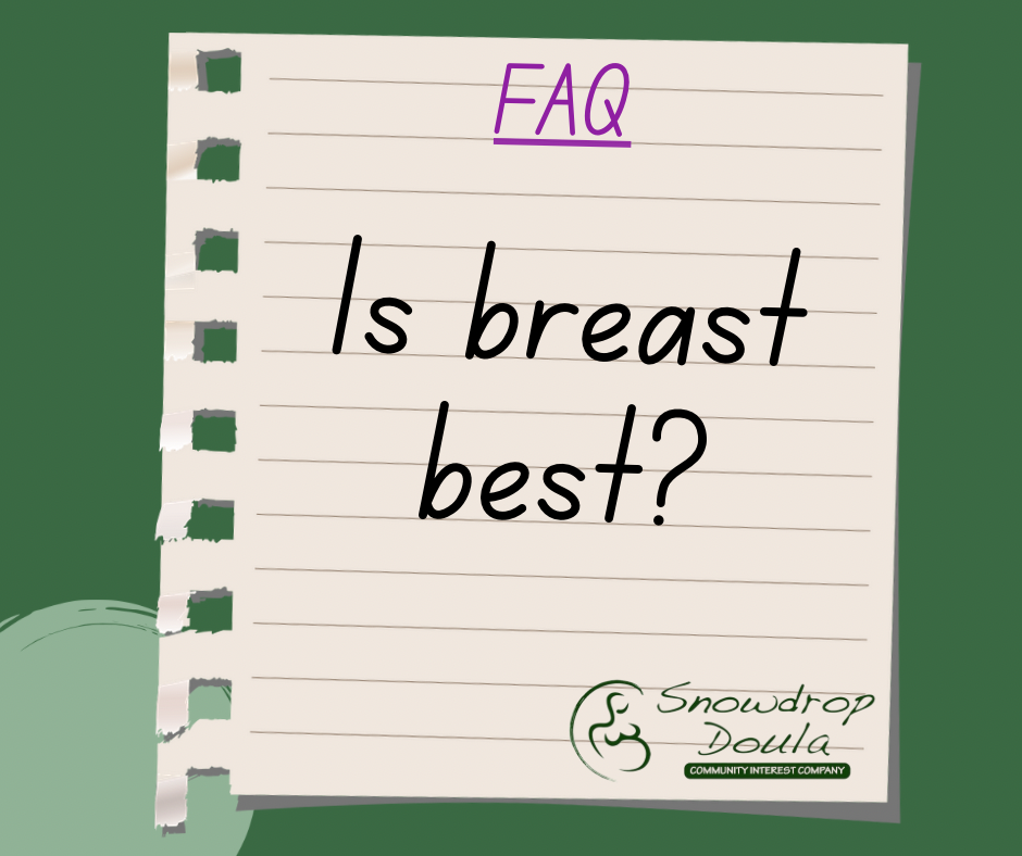 Is breast best? Breast is best v fed is best