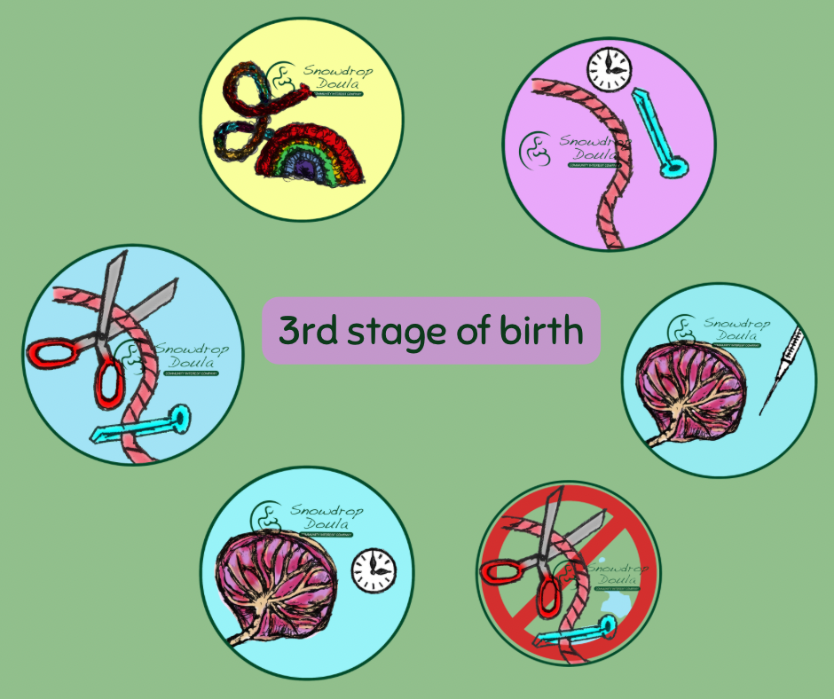 3rd stage of birth. Delayed cord clamping, lotus birth, what happens to the placenta. Injection after birth.